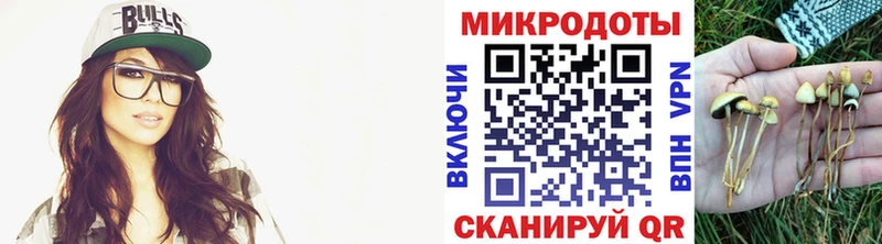 Псилоцибиновые грибы прущие грибы  Купить где  Липки 