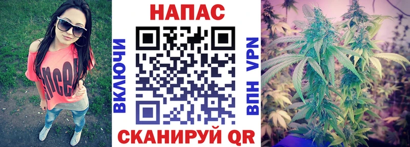 Шишки марихуана семена  Купить  Липки 